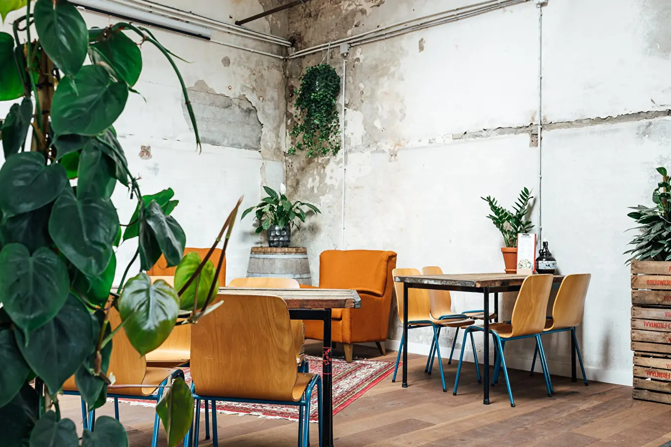 Brouwcafé Frontaal Nine Yards interieur